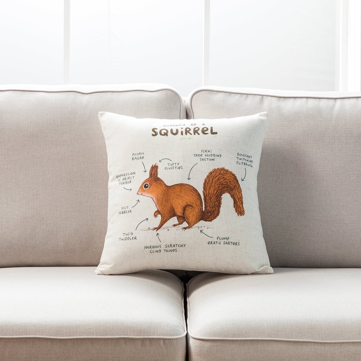HU-SA1818ICSQOP Anatomy Of A Squirrel With Polyester Insert Pillow