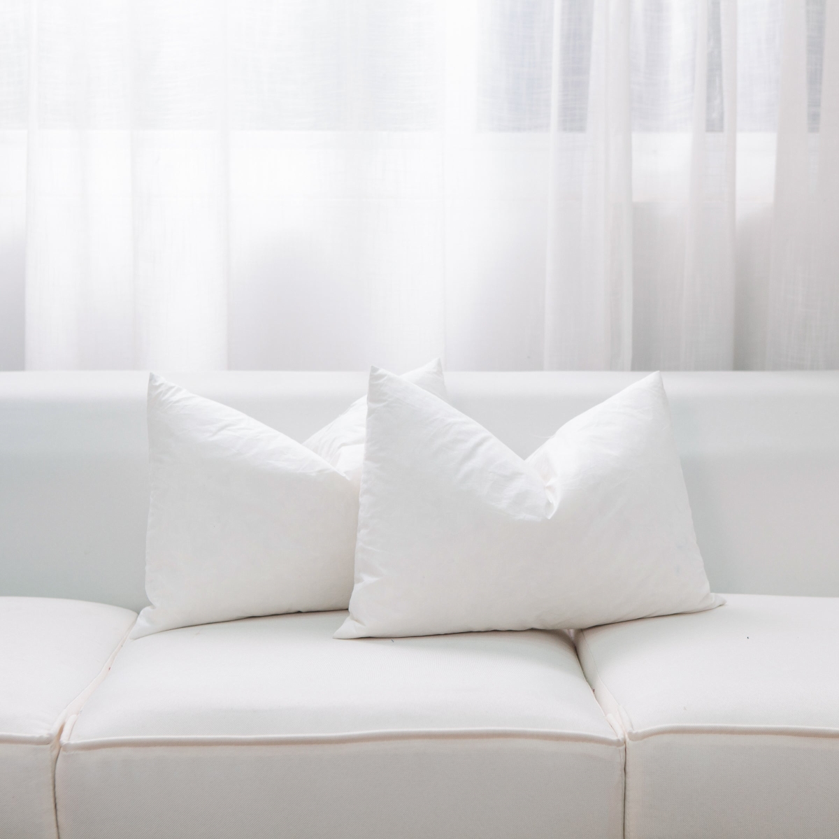 Feather Pillow Insert - White - 14 x 20 Inches - Lightweight Comfort