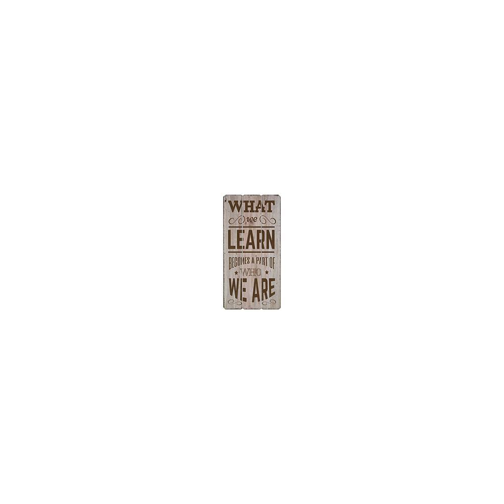 IV-S17-G253 What We Learn Wooden Sign Wall Decor