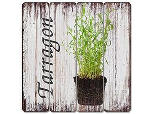 IV-S17-G273 Tarragon Wooden Sign Wall Decor