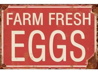 IV-S17-GT139 Farm Eggs Vintage Metal Wall Decor