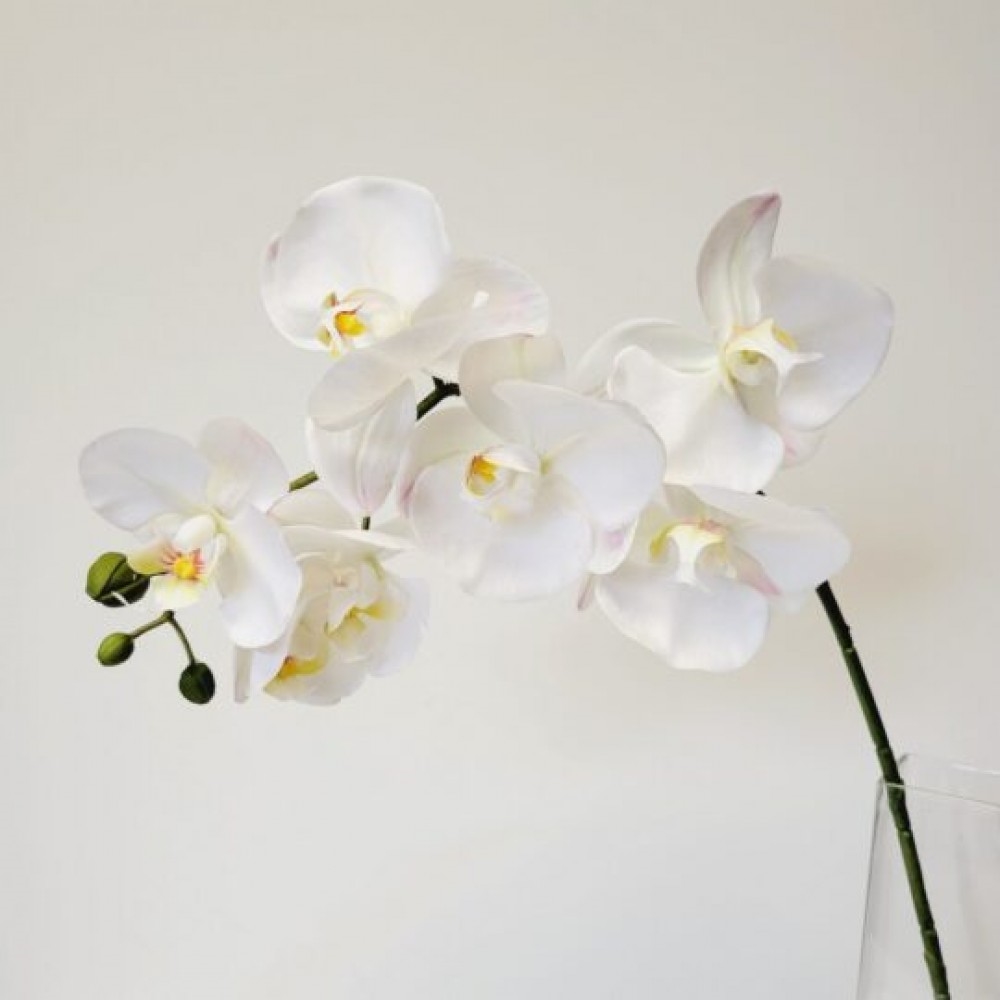 CM-OM453WH_Q01 White Phalaenopsis Orchid Stem Artificial Flower