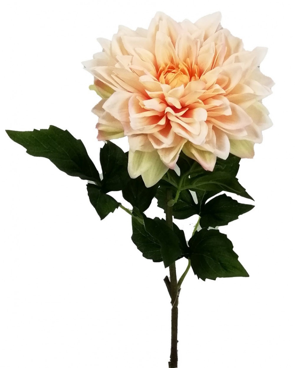 AI-FL4078PAR_Q01 Real Touch Pale Apricot Dahlia Artificial Flower