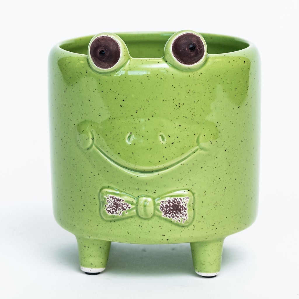 AI-CE00-105_Q01 Frog Wearing A Bow Tie Planter