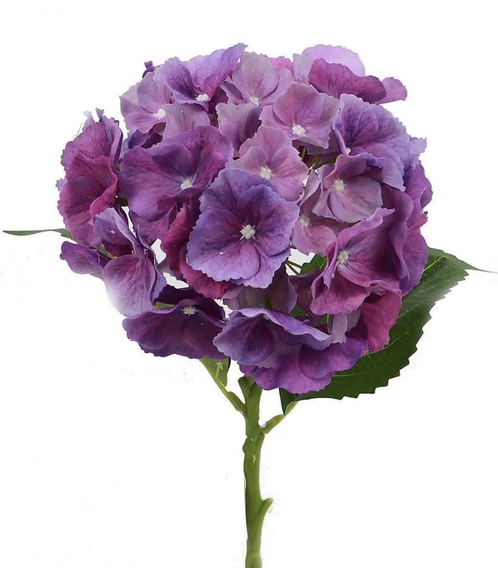 AI-FL4089PLV_Q01 Natural Touch Purple Hydrangea Artificial Flower