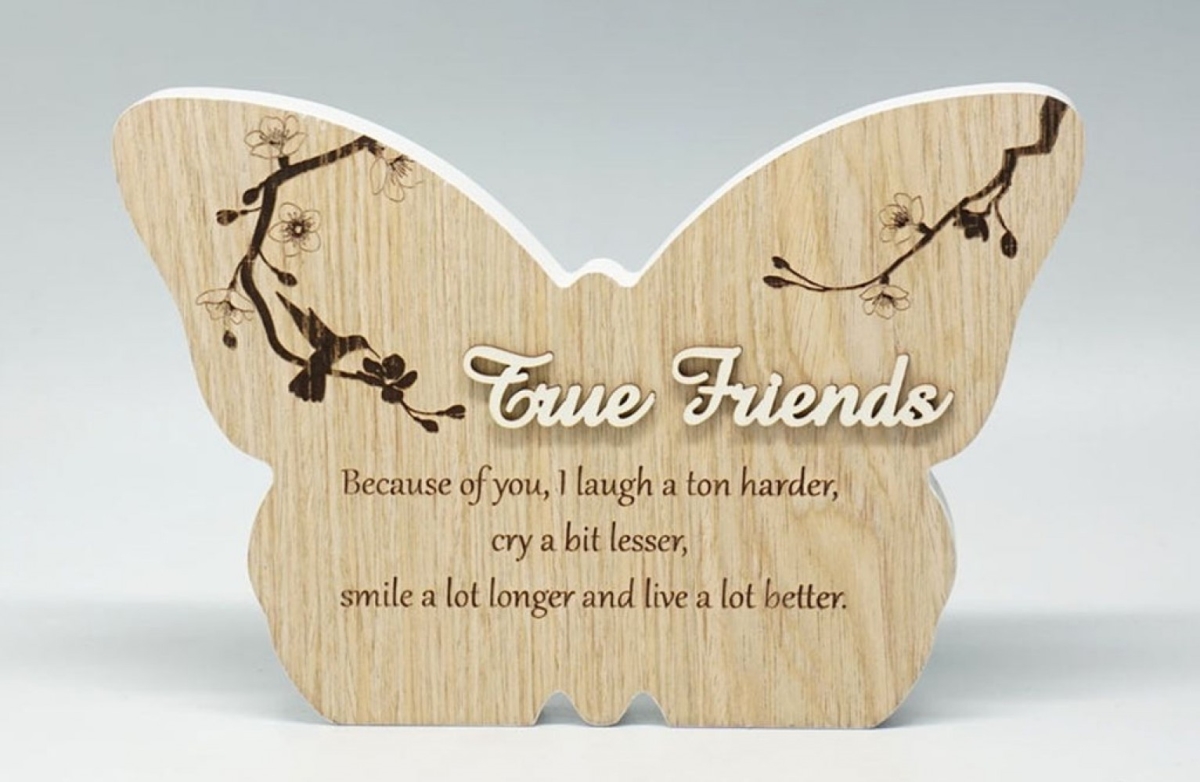 SC-SBP251 True Friends- Butterfly Shape With Saying Block Sign