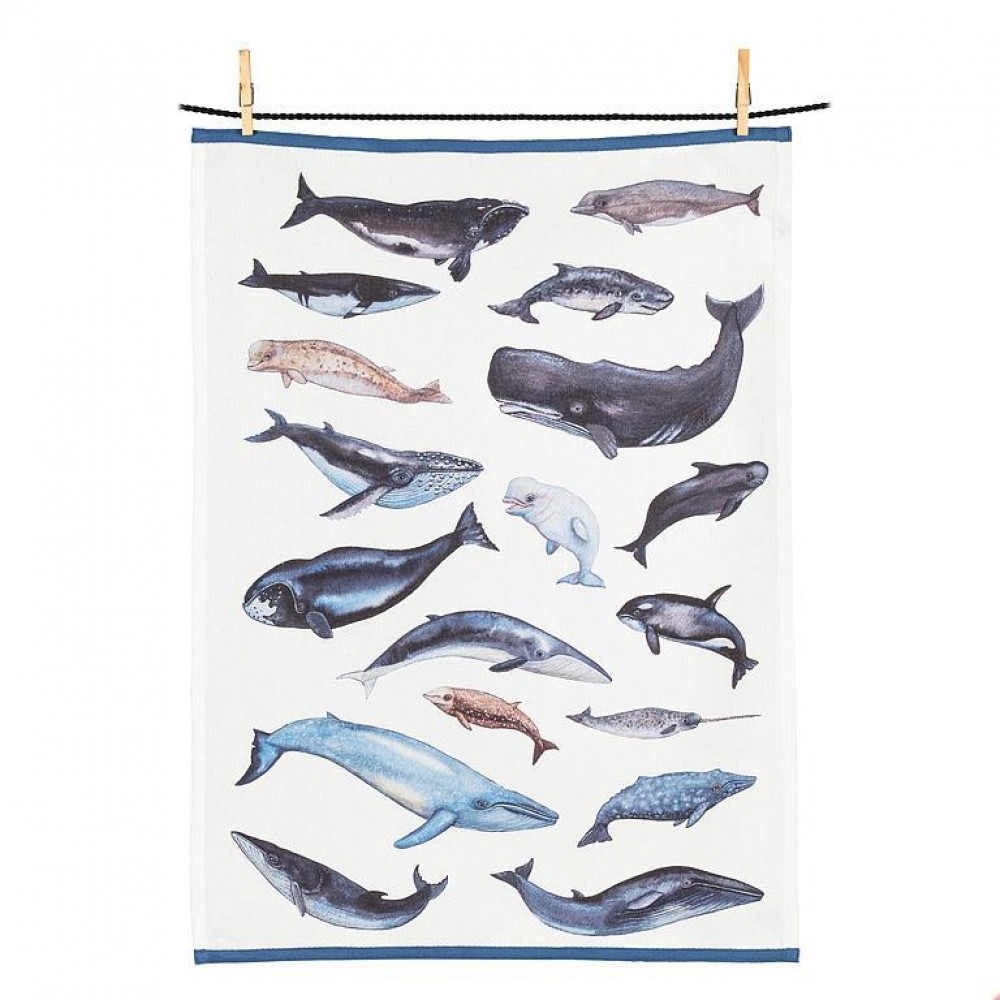 Picture of MDR Trading Inc. AB-56-KT-WR-06 Whales Kitchen Tea Towel