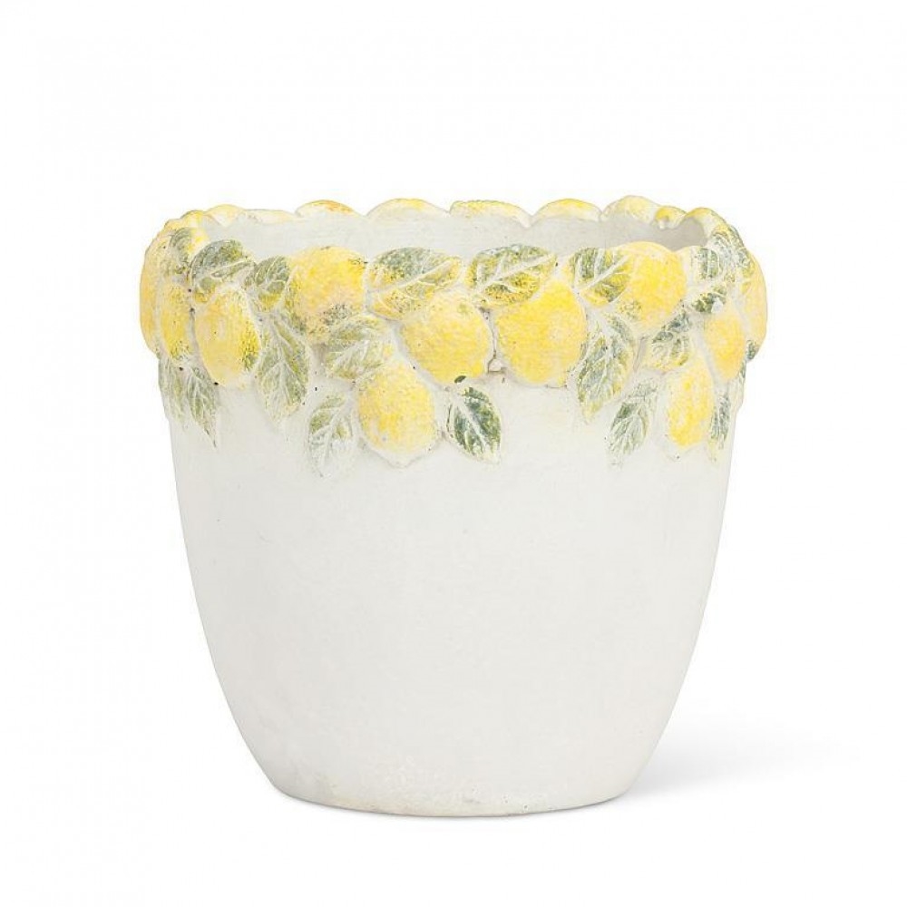AB-27-ZESTY-SM Small Lemon Edge Planter