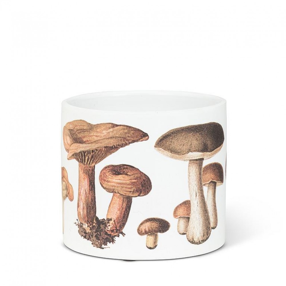 AB-27-PL-AB-222-SM_Q01 Small Botanical Mushroom Planter