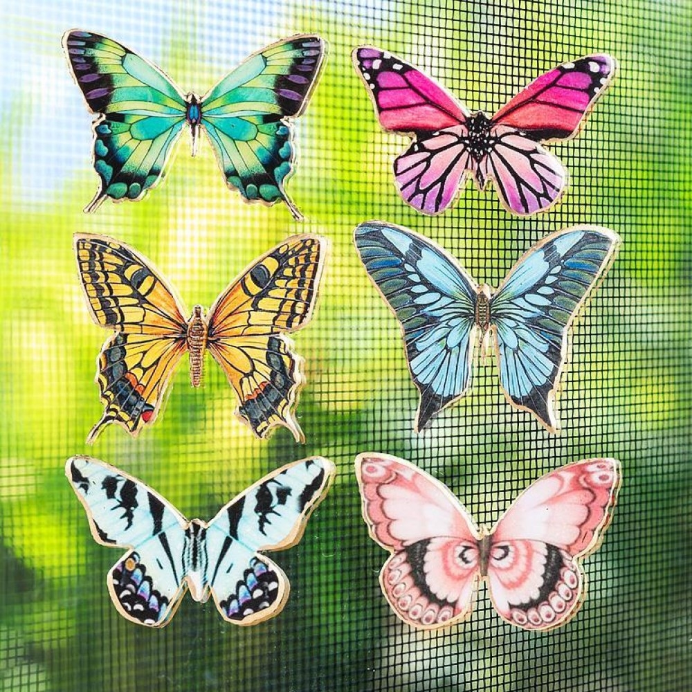 AB-37-SNAP-100 Set Of 6 Assorted Butterflies Two-Sided Magnet