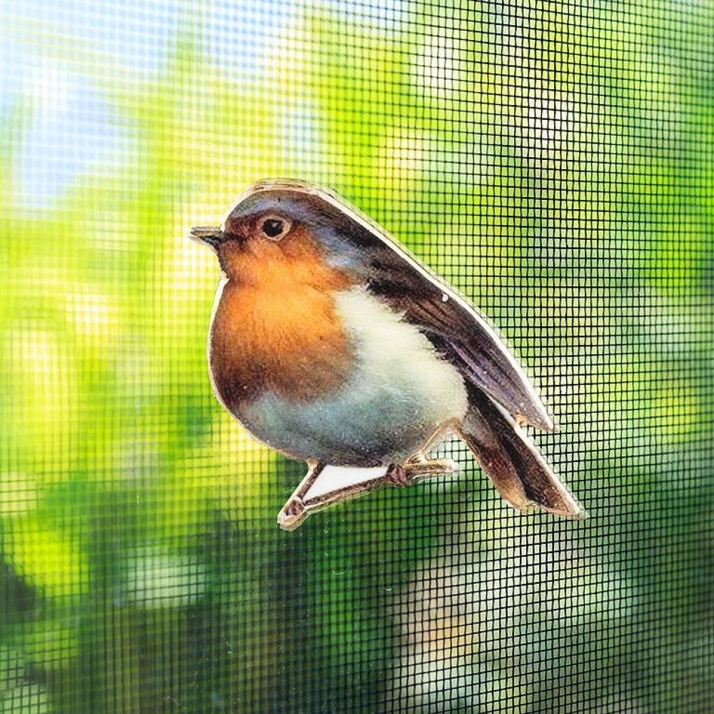 Orange And White Breasted Bird Two-Sided Magnet