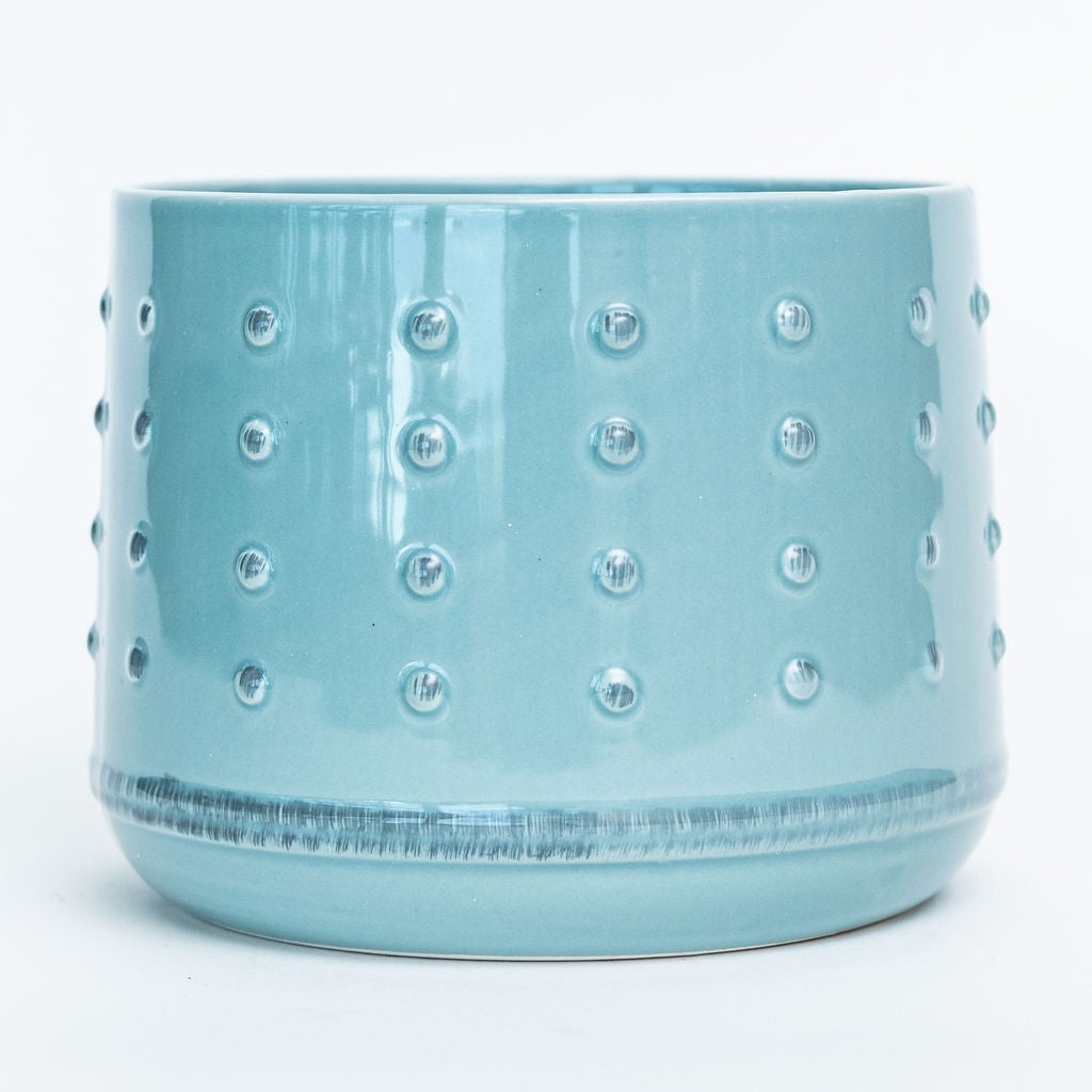 Aqua Blue Dotted Planter