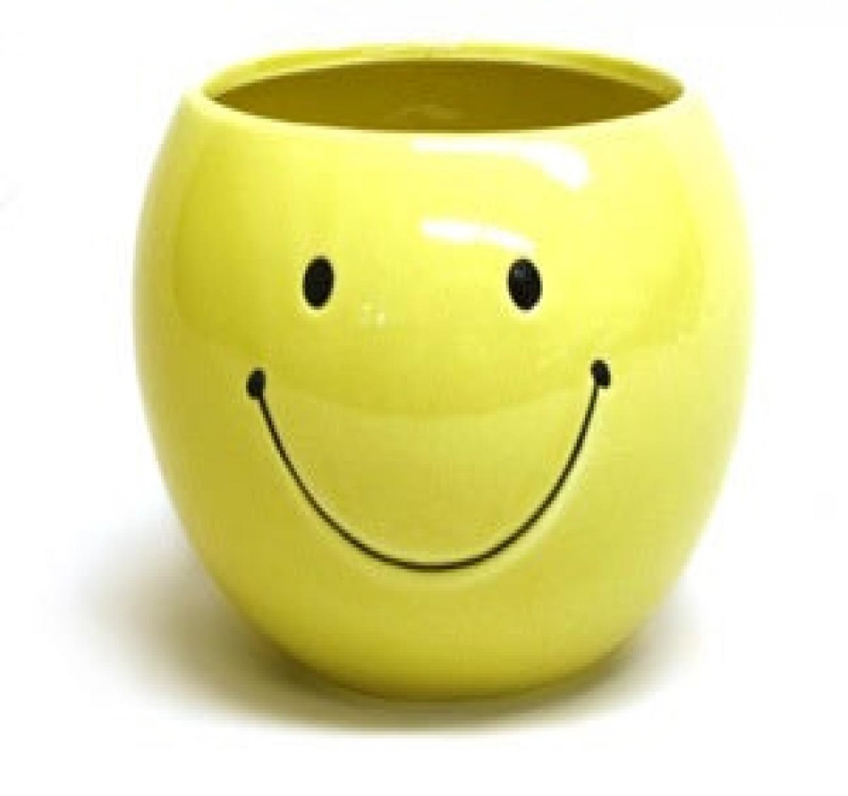AI-CE02HFY_Q01 Yellow Happy Face Planter