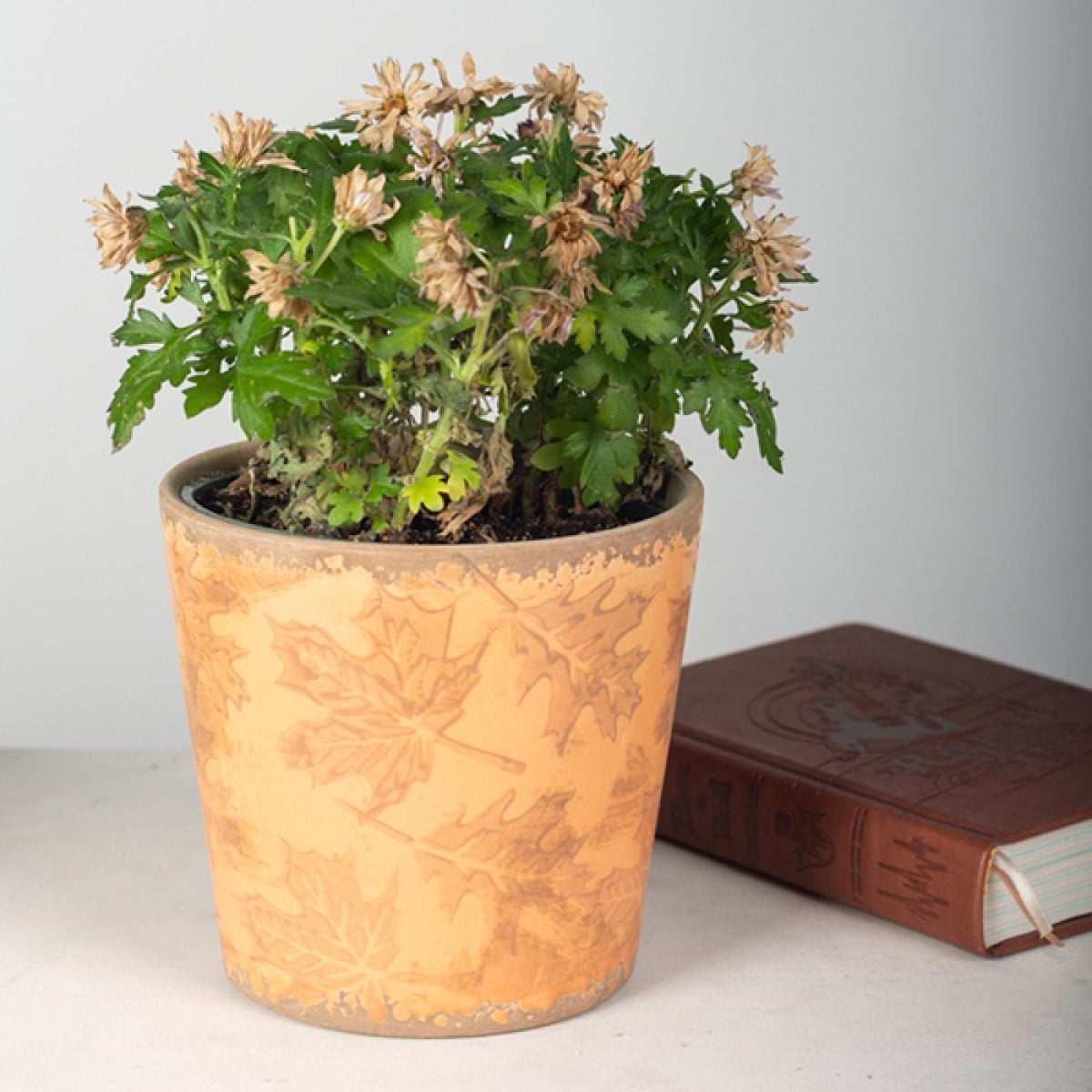 FP-ECX-084_Q01 Maple Leaves Pattern Planter