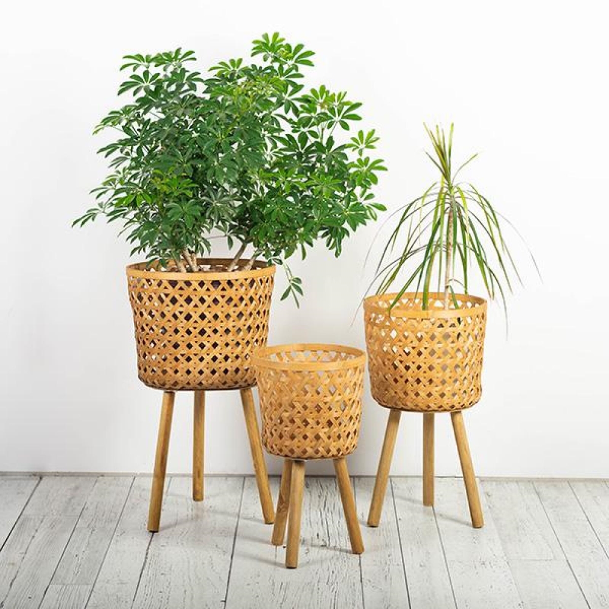 FP-LCD-13574-13 Set Of 3 Natural Bamboo On Wooden Legs Plant Stand