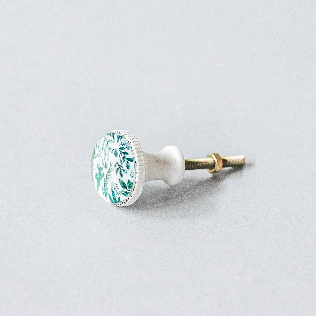 FP-EST-101_Q01 Cactus And Leaves On White Drawer Knob