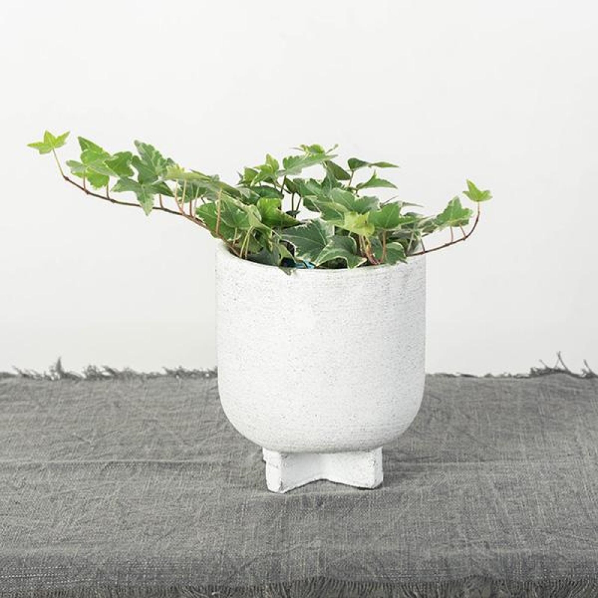 FP-CNP-231_Q01 Footed Rough Matte Finish White With Black Speckles Planter