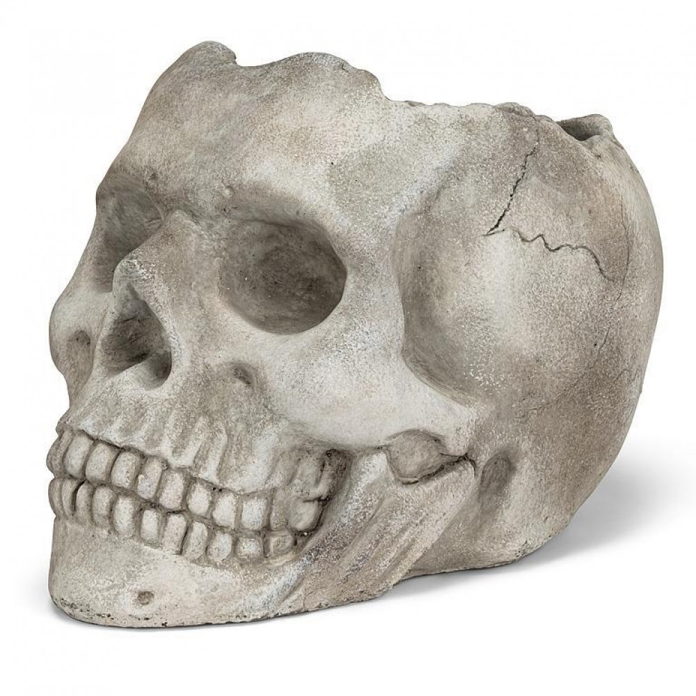 AB-27-DOOM-XLG Extra Large Skull Planter