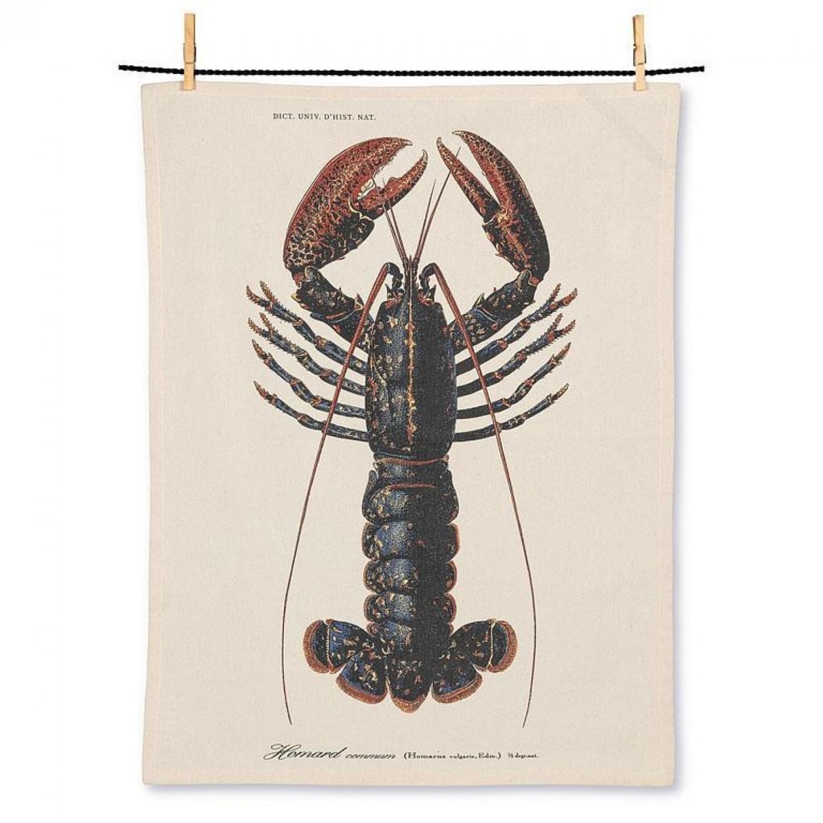UNBT-00524 Lobster Print Tea Towel - Natural & Navy