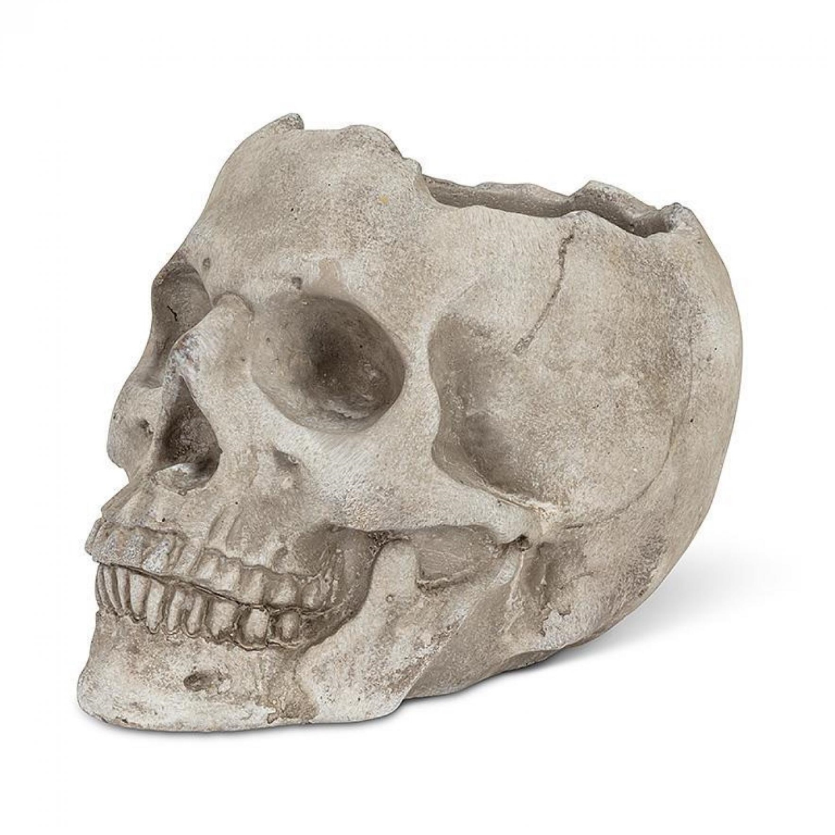 UNBT-00952 Skull Planter - Gray