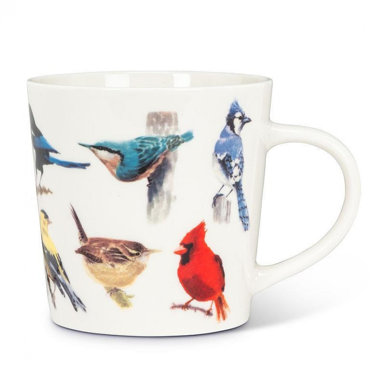 UNBT-00633 North American Birds Mug - Multi Color