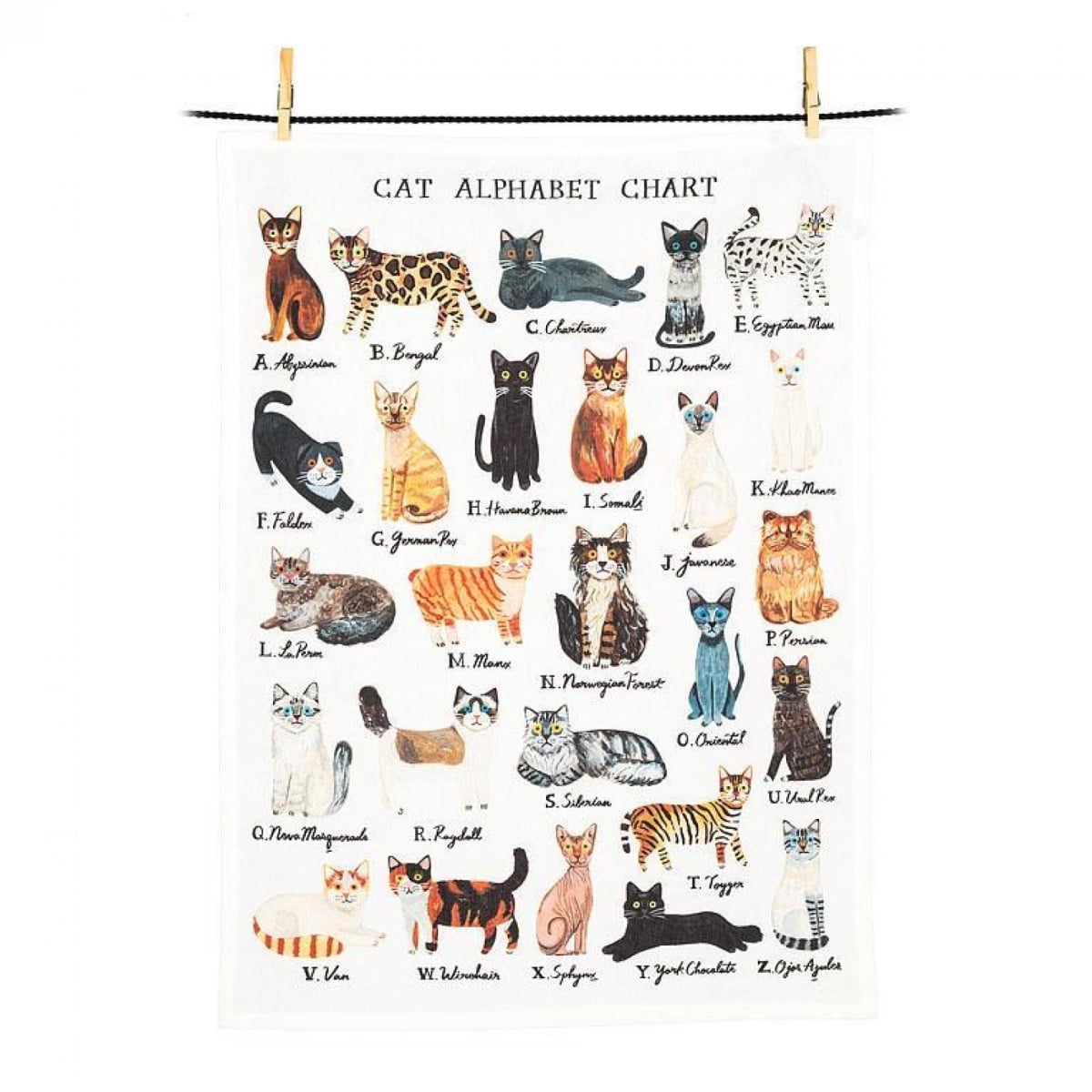UNBT-00181 Cat Alphabet Chart Tea Towel - Multi Color