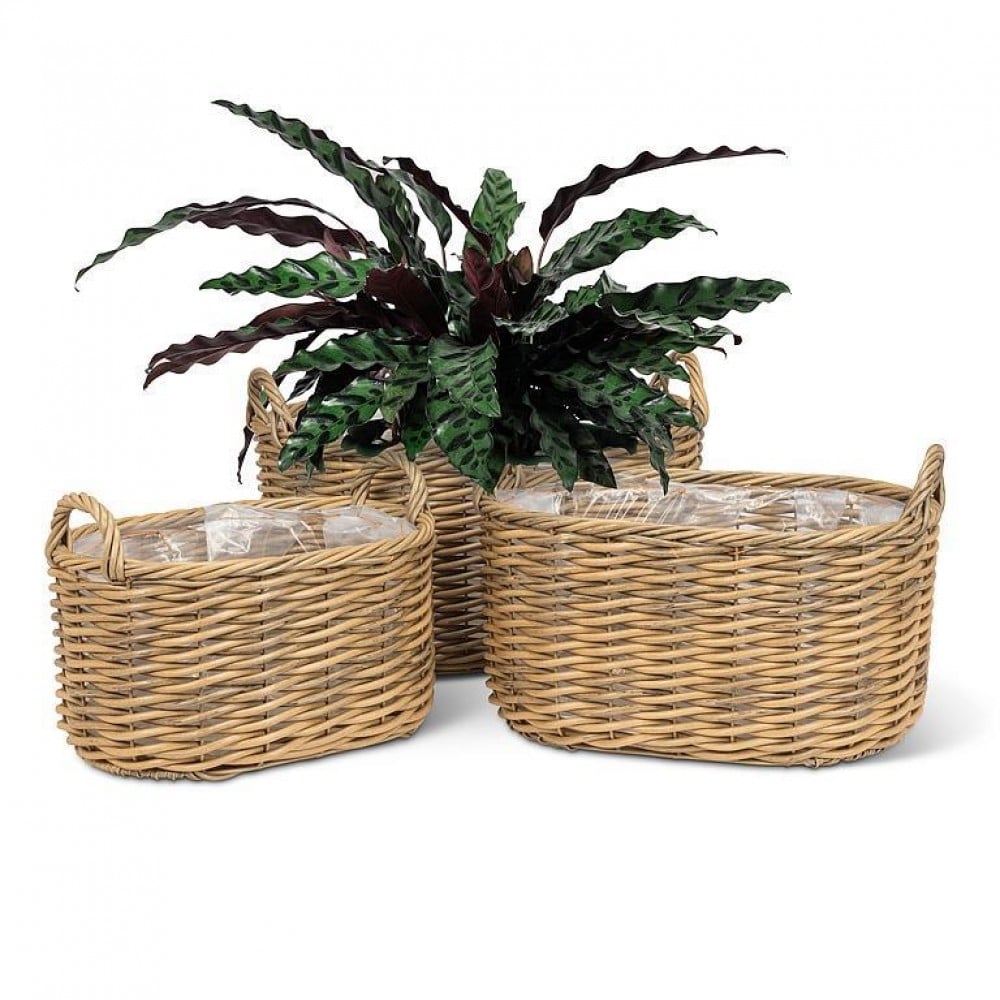 UNBT-00877 Oval Willow Look with Handles Baskets - Brown - Set of 3