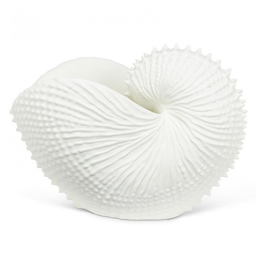 AB-27-COUSTEAU-405 13 in. Jumbo Nautilus Shell Holder, White