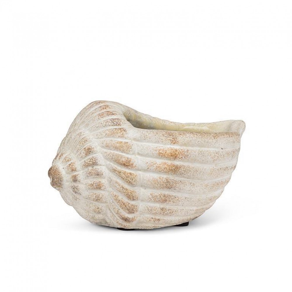 AB-27-SHELL-005-SM-Q01 6 in. Small Conch Planter, Gray