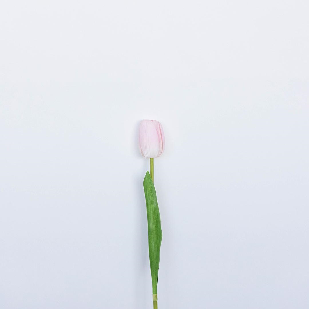 FP-WAT-006 Single Pink Tulip Artificial Flower
