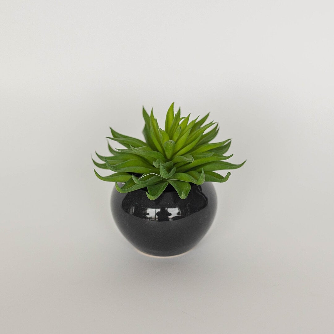 FP-HAC-048 Succulent In Ceramic Pot Faux Plants And Trees