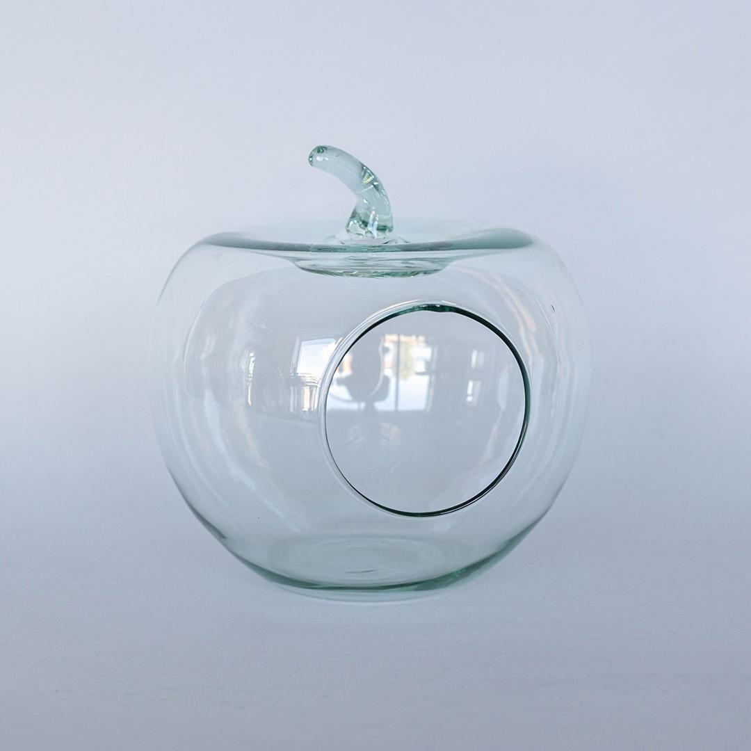 FP-DKL-011 Glass Apple Terrarium Decoration