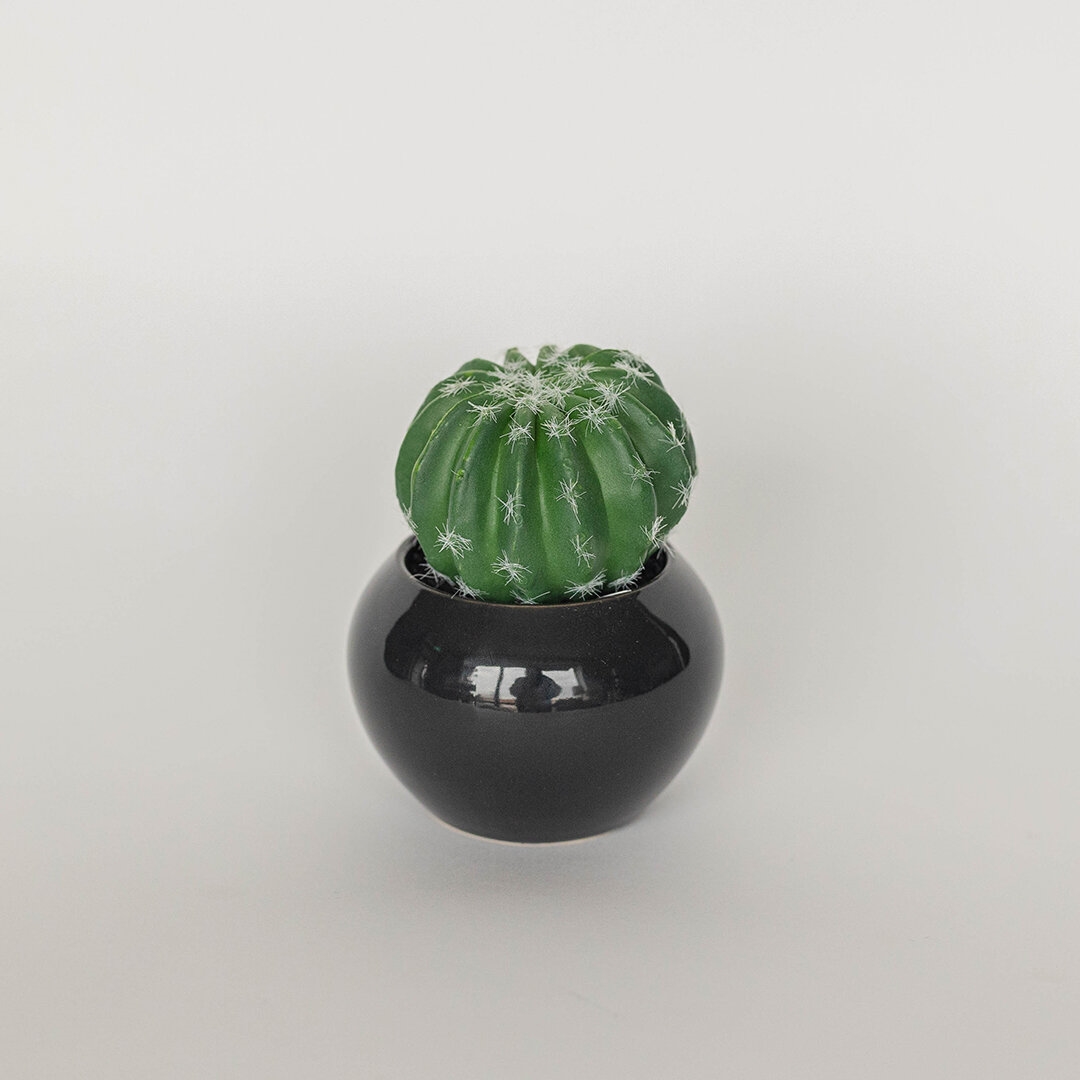 FP-HAC-047 Cactus In Ceramic Pot Faux Plants And Trees