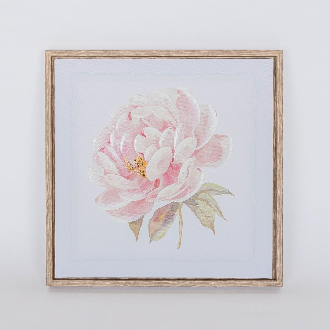FP-XIN-127 Pink Peony Canvas Print Framed Artwork