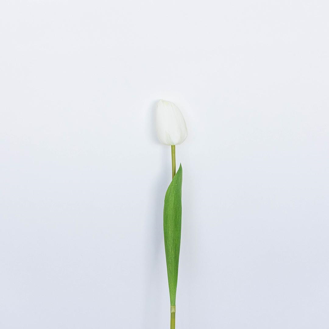FP-WAT-007 Single White Tulip Artificial Flower