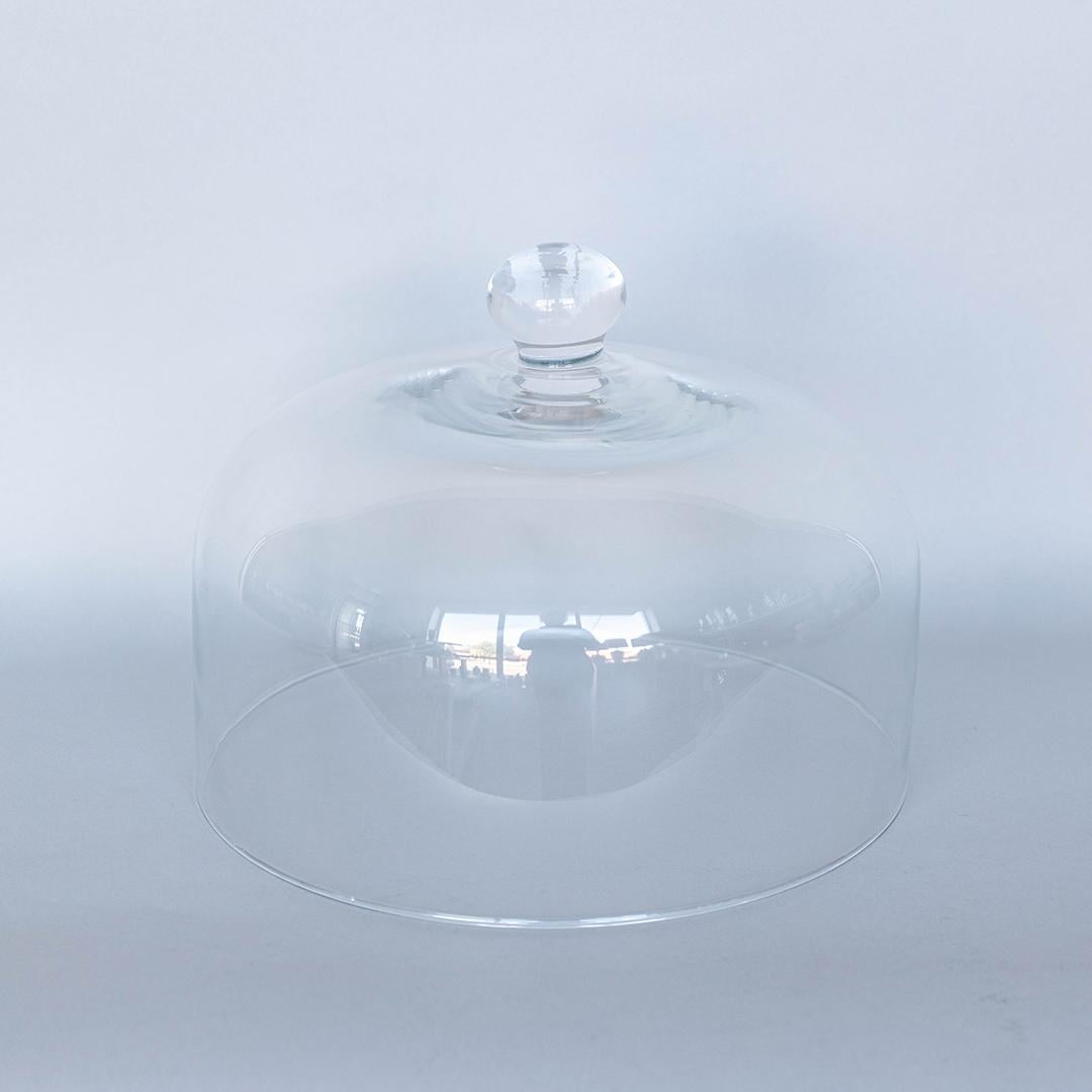 FP-DKL-001 Clear With Rounded Knob Glass Cloche