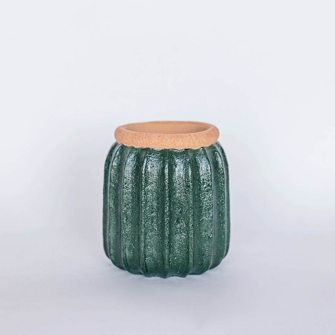 FP-CNP-427 Cactus Look Flower Pot Planter