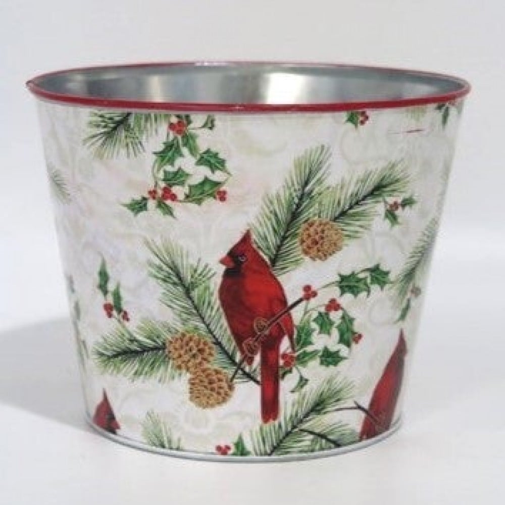 AI-GA3510-1097 Cardinal Perched On A Pine Branch Bucket