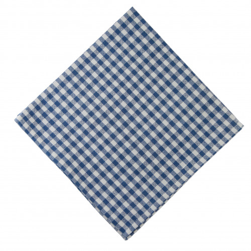 AG-20291S-4 Napkins, Toro Blue Check - Set of 4