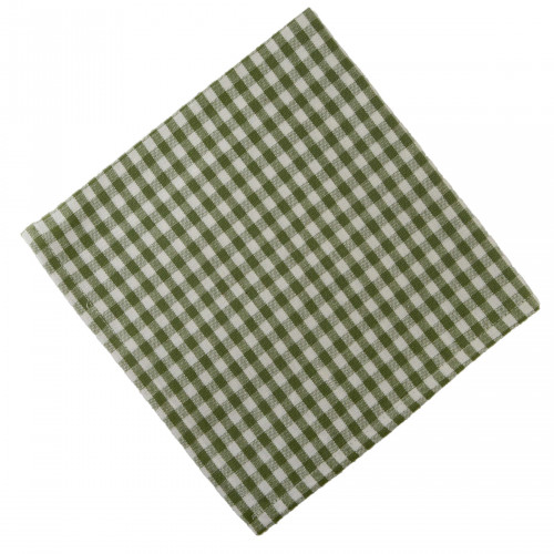 AG-20293S-4 Napkins, Toro Green Check - Set of 4