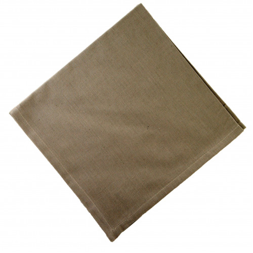 AG-20310S-4 Napkins, Beige - Set of 4