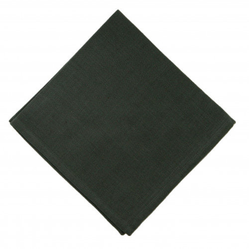 AG-20317S-4 Napkins, Moss Green - Set of 4