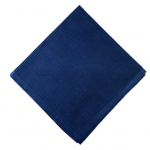 AG-20321S-4 Napkins, Navy Blue - Set of 4