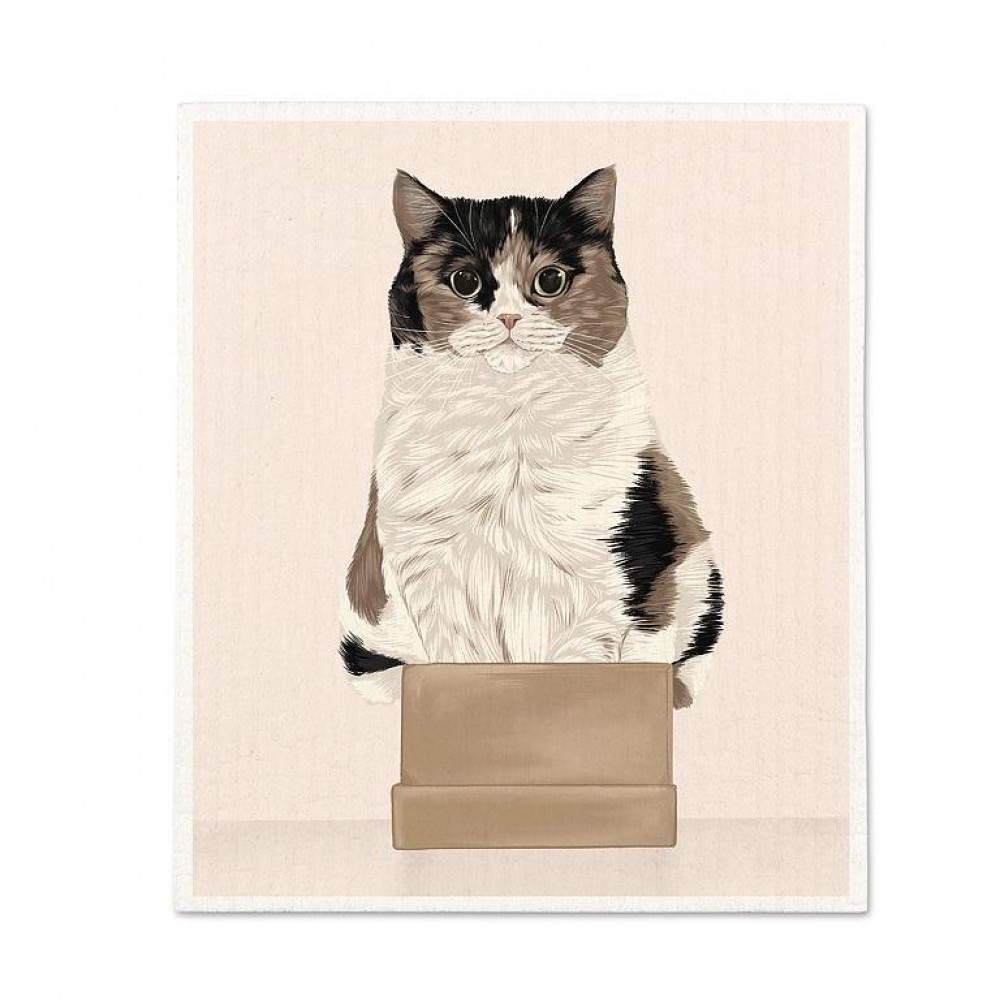 AB-20-ASD-CAT-BOX Cat In A Box Dishcloth