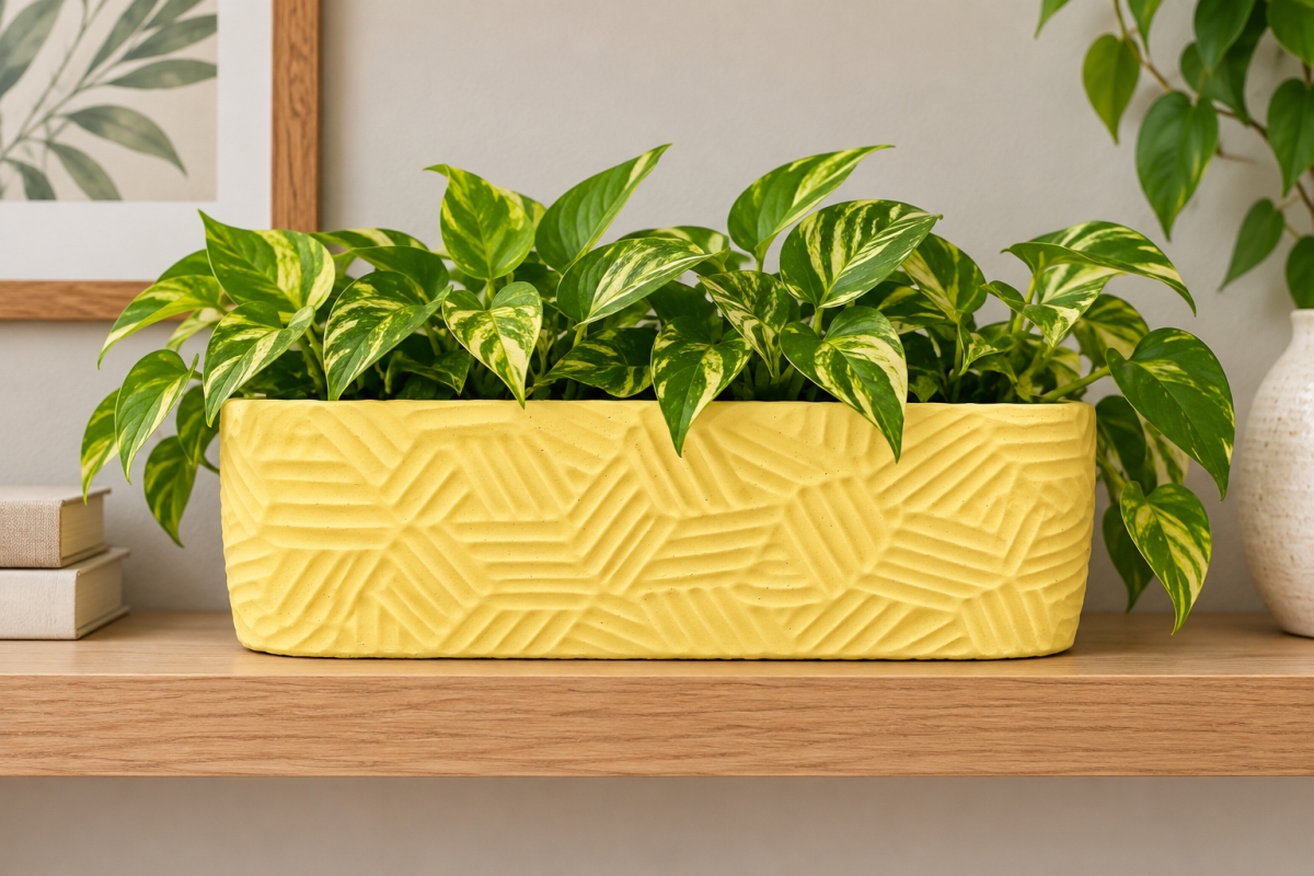 AI-CE26-2010 Sancho Oval Yellow Planter