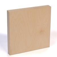 Picture of American Easel AE0406-D 4 x 6 in. Deep Birch Painting Panel - Natural