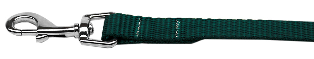 Picture of Mirage Pet 124-1 GR5806 Plain Nylon Pet Leash&#44; Green - 0.62 in. by 6 ft.