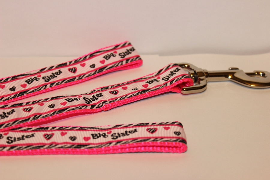 Picture of Mirage Pet 125-103 5806 Big Sister Nylon Dog Leash&#44; 0.63 in. x 6 ft.