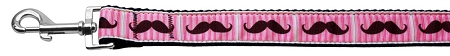 Picture of Mirage Pet 125-080 3804 0.37 in. Wide 4 ft. Long Pink Striped Moustache Nylon Dog Leash