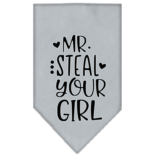 Mirage Pet Products Mr. Steal Your Girl Screen Print Bandana Grey Large